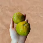 Limão Cravo (500g)
