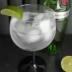GIN TONIC