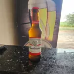 Budweiser longneck