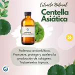EXTRACTO HG CENTELLA ASIATICA