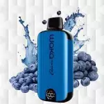 BLUEBERRY SPLASH