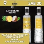 sernova caribbean frozen