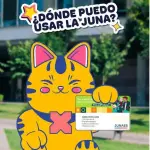 EMPANADITAS DE QUESO X 6 (JUNAEB)