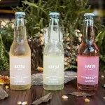 Soda Hatsu