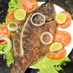 PEIXE TILÁPIA