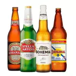 679 - CERVEJAS PREMIUM (600ml)
