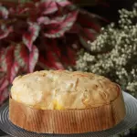 Colomba frutas