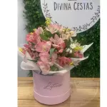 Mimo box 🌸