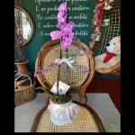 Orquídeas