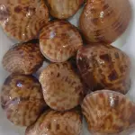 Almeja