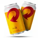 Skol Lata Gordinha 350ml