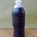 Jamaica