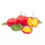 Acerola
