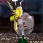 Gin Tonic