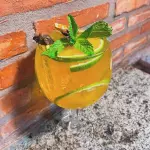 Gin Tropical
