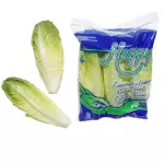 Lechuga Corazon 3 piezas