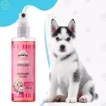 COLONIA DE MASCOTAS