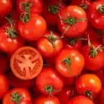 TOMATE SEGUNDA 2 KILOS
