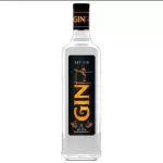 Gin Tudo Dry 1L