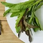 Epazote