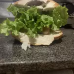 X-SALADA