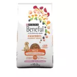 BENEFUL CACHORRO