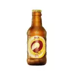 Cerveja Skol  300ml Pix ou Dinheiro