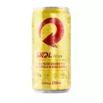 SKOL 269ML