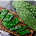 Nopal