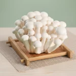 WHITE MUSHROOM 白玉菇