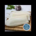 TUBOS DE CALAMAR