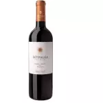 WINE BIG BOTTLE
