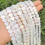 concha natural en forma de corazón
