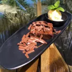 CACAU DO NORTE
