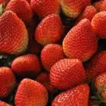 FRESA 500 GR