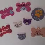 Placa de identificación para mascotas