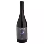 Giaretta Syrah (BRA)