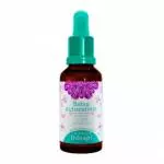 Floral Thérapi Baixa Autoestima 30ml