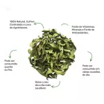 Verbena - 15g