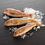 Salmonetes