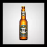 ANDINA