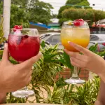 SODA FRUTOS ROJOS