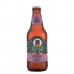 SHAMAN IPA - SIERRA ANDINA