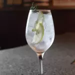 GIN TONIC