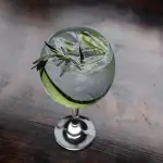 Gin & Tonic