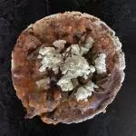Sopes de champiñones.