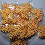 Girasol amarillo c/fucsia