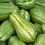 chayote