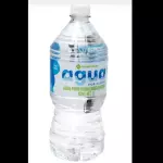 Agua 1lt