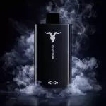 Ignite V80 Açai Ice
